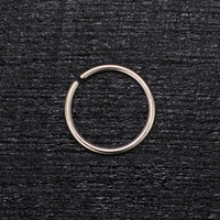 Thumbnail for Halcyon Nose Ring